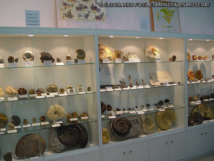 [Museora] Fosil eta Mineralen Museoa. Harrien miresmenetik